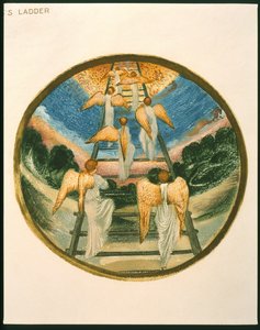 La scala di Giacobbe, angeli che tornano in cielo, tavola 111 da 