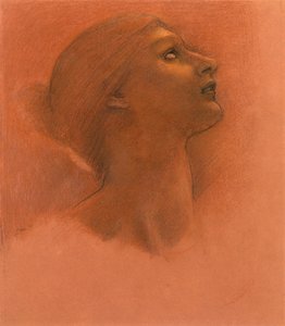 Studio per 