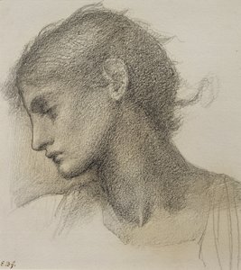 Studio di una testa, per 