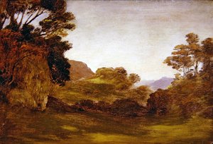 Una strada attraverso un paesaggio boscoso