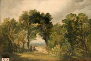 Una radura nel bosco