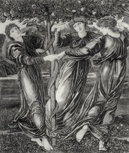 Il Giardino delle Esperidi da Edward Coley (after) Burne Jones