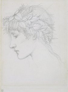 Testa coronata di foglie, c.1897