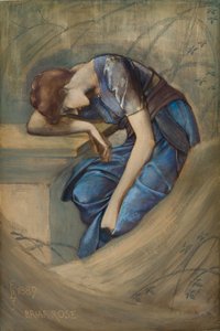 Studio per la serie Briar Rose, Il Giardino Cortile da Edward Coley Burne Jones