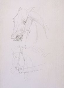 Studio della Testa di un Cavallo da Edward Coley Burne Jones