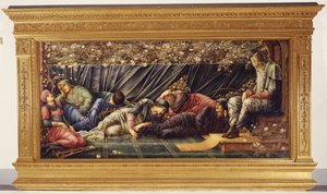 La rosa spinosa: La sala del consiglio