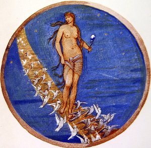 Il libro dei fiori: V. Rosa del cielo