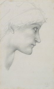 Testa da Edward Coley Burne Jones