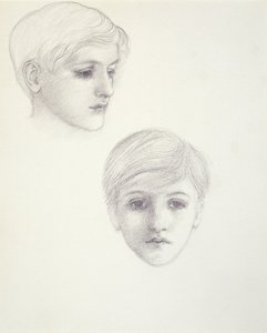 Studi del figlio dell