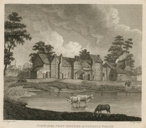 Veduta delle case di peste a Tothill Fields, Londra da Edward Dayes
