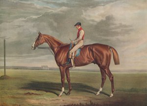 Velocipede, vincitore del St. Leger, 1828 da Edward Duncan