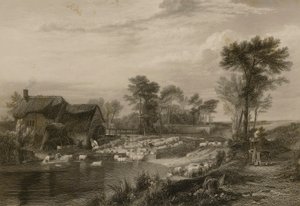 Lavaggio delle pecore da Edward Finden