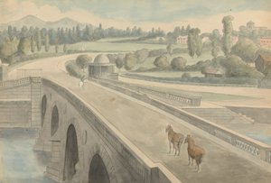 Il ponte