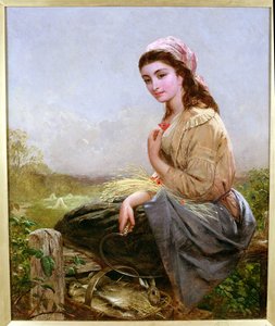 Il mietitore