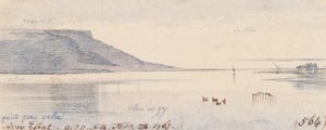 Aboo Zobat; ore 9:30, 28 febbraio 1867 (564) da Edward Lear