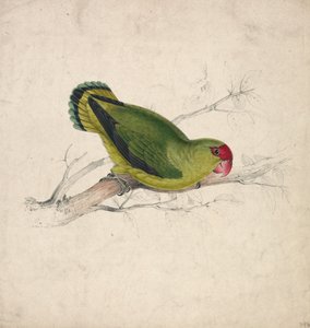  da Edward Lear
