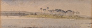Isola di Dhoura da Edward Lear