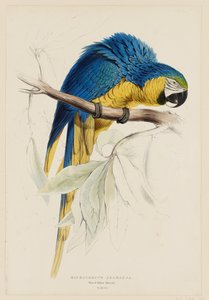  da Edward Lear