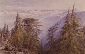 Scimmie su una rupe vicino a Simla, India del Nord da Edward Lear