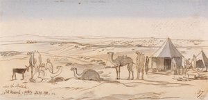 Vicino a El Areesh, ore 15.30, 30 marzo 1867 (27) da Edward Lear