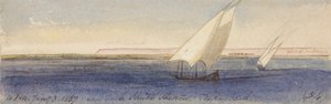 Vicino a Nesle Sheikh Hassan, guardando verso sud da Edward Lear