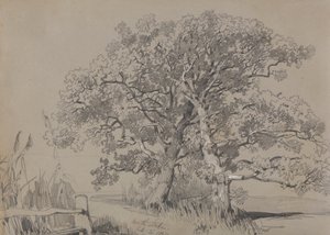 North Stoke. 21 Ott. 1834. da Edward Lear