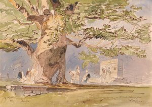 Sulla strada, a due ore da Tepelene, 19 aprile 1857 da Edward Lear