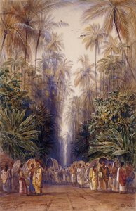 Sulla strada per Galle, Ceylon da Edward Lear