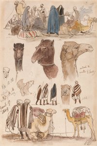 Fuori dalle mura di Suez, ore 8:30 del 17 gennaio 1849 (54)