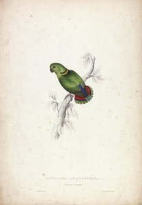  da Edward Lear