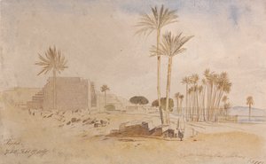 Tapha, ore 7:50 del 17 febbraio 1867 da Edward Lear