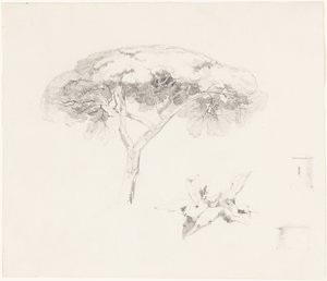  da Edward Lear