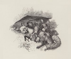 Illustrazione per I bambini dell