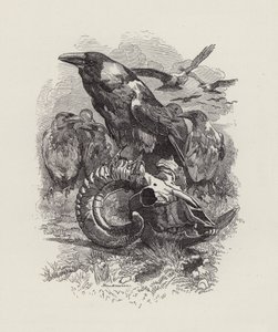 Illustrazione per The Water-Babies di Charles Kingsley