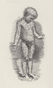 Illustrazione per The Water-Babies di Charles Kingsley da Edward Linley (after) Sambourne