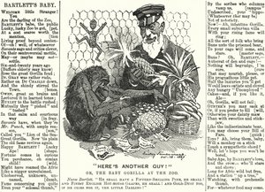 Vignetta di Punch: Abraham Dee Bartlett, sovrintendente dello Zoo di Londra, e un cucciolo di gorilla (incisione) da Edward Linley (after) Sambourne