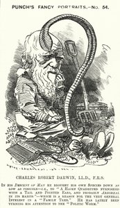 Charles Darwin, naturalista e biologo inglese (incisione)