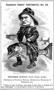 Thomas Henry Huxley, biologo inglese, 1881 da Edward Linley Sambourne