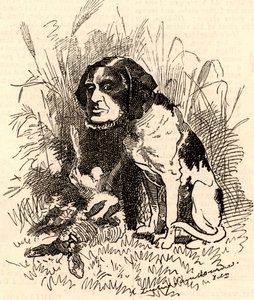 William GGV Vernon Harcourt (1827-1904)