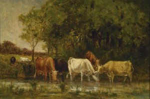 Mucche nel Paesaggio