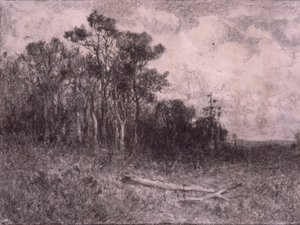 Paesaggio, scena di bosco