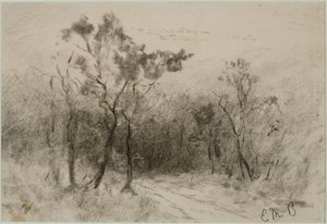 Paesaggio con sentiero (#51), c. 1880s