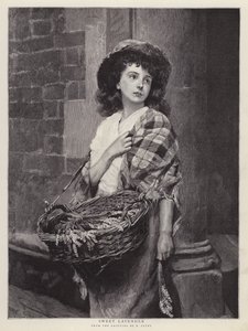 Dolce lavanda da Edward Patry
