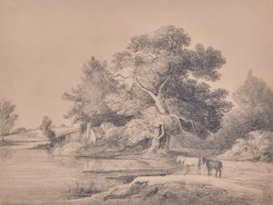 Paesaggio con cavalli vicino a un fiume