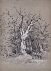 Paesaggio con albero