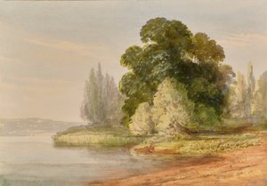 Paesaggio con alberi da Edward Pretty