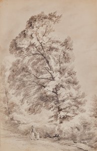 Paesaggio con alberi da Edward Pretty