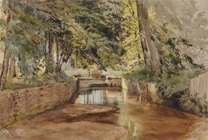 Scena fluviale con letto del fiume semi-asciutto
