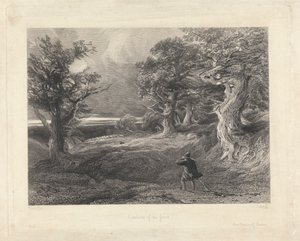 Periferia della foresta da Edward Radclyffe