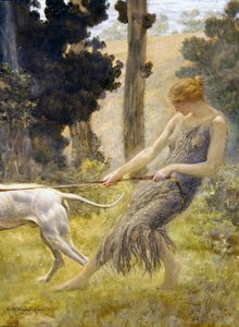 Donna che Cammina con il suo Cane